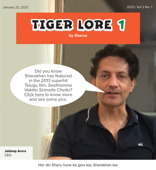 Participate in Tiger Lore 2.0 By invitation only